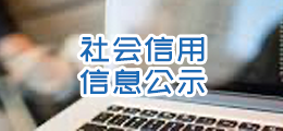社会信用信息公示