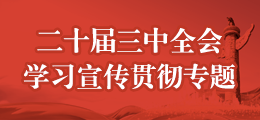 二十届三中全会学习宣传贯彻专题